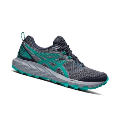 Asics GEL-SONOMA 6 Trailrunning Schuhe Damen Grau | OKIB38472